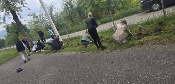 UČENICI OŠ “DONJA RŽANICA” ZASADILI 20 DRVEĆA POVODOM 20 GODINA OBNOVE NEZAVISNOSTI