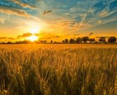 SUNČANO I VEOMO TOPLO
