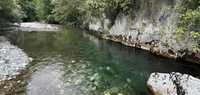 BAJKOVITA SLIKA ZLORČICE