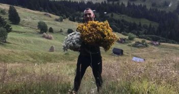 LJEKOVITO BILJE IZMEĐU DRŽAVNE POMOĆI I TRŽIŠTA